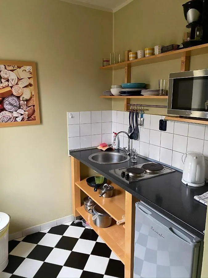 Apartments Merlin Marianske Lazne
