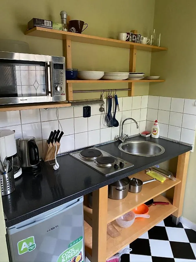 Apartments Merlin Marianske Lazne 0*,